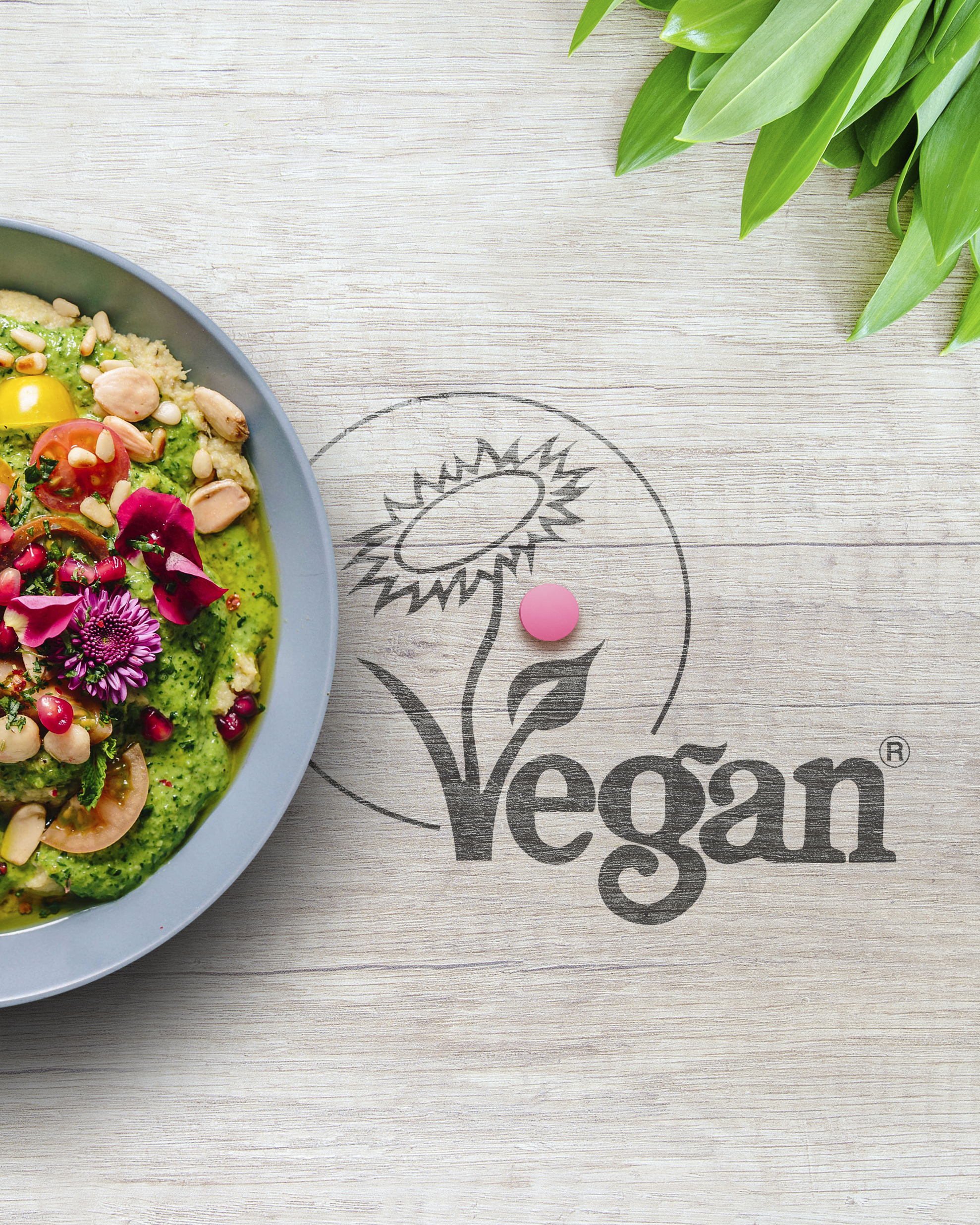 Axunio Vegan - Social Media Kachelbild