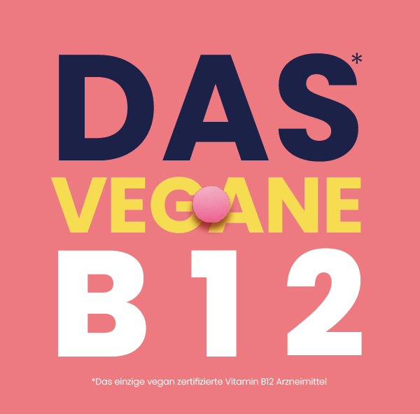 Kampagnen-Update 2025